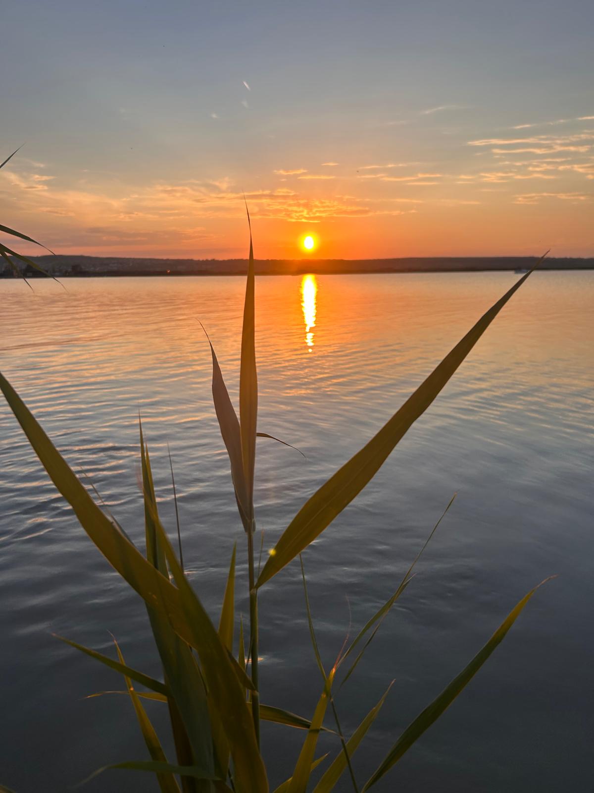 Sonnenuntergang am Neusiedlersee
