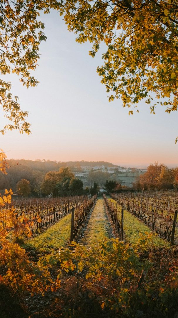 © Verein 24 Stunden Burgenland - tmonte2015